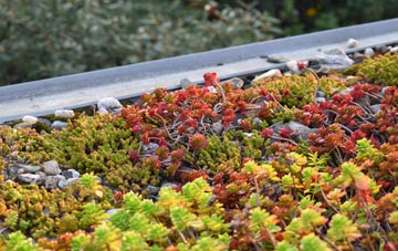 the cost of Coaltown Of Wemyss green roof installation
