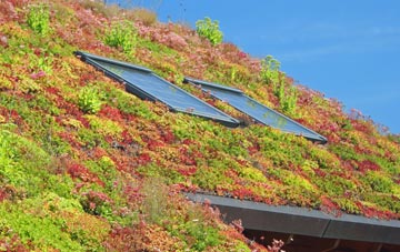 Coaltown Of Wemyss living roof systems
